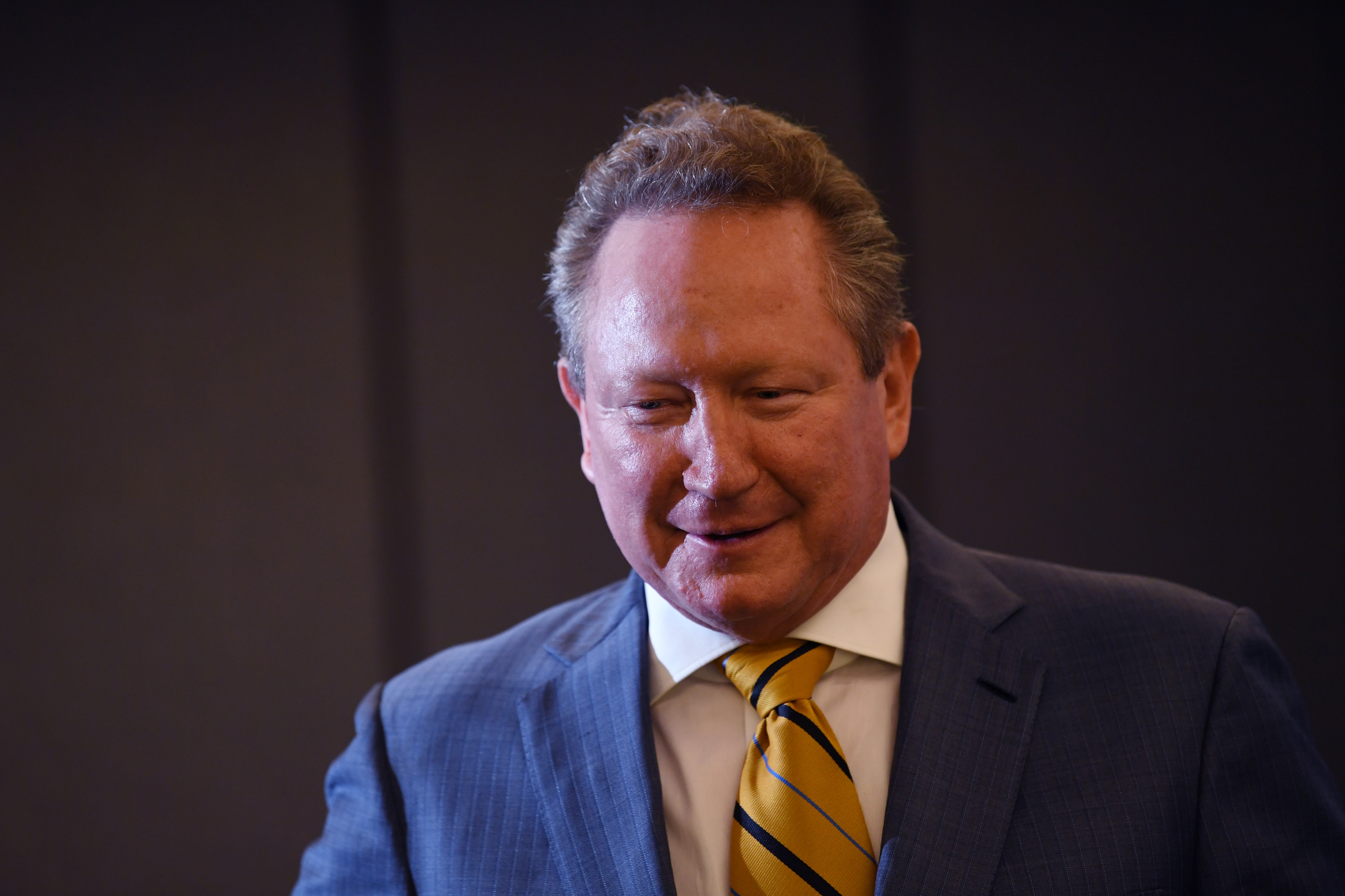 Australian businessman Andrew Twiggy Forrest.