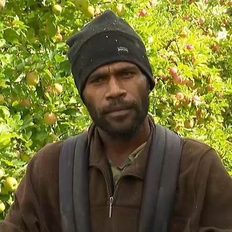Apia Samuel - Un travailleur saisonnier originaire de Vanuatu