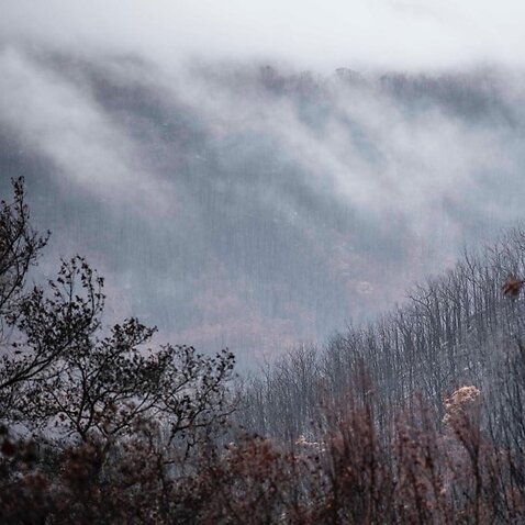 New South Wales experienced 240 consecutive days of bushfire activity this season.