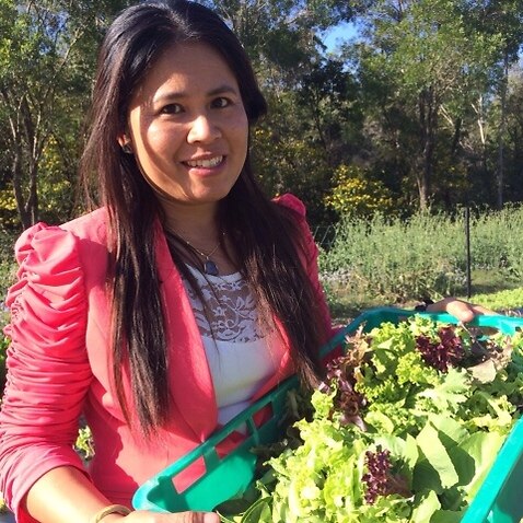 พิมประไพ วงศ์เหลา สาวไทยเจ้าของสวนผักผลไม้ปลอดสารพิษ Pim's Organics ในควีนสแลนด์ 