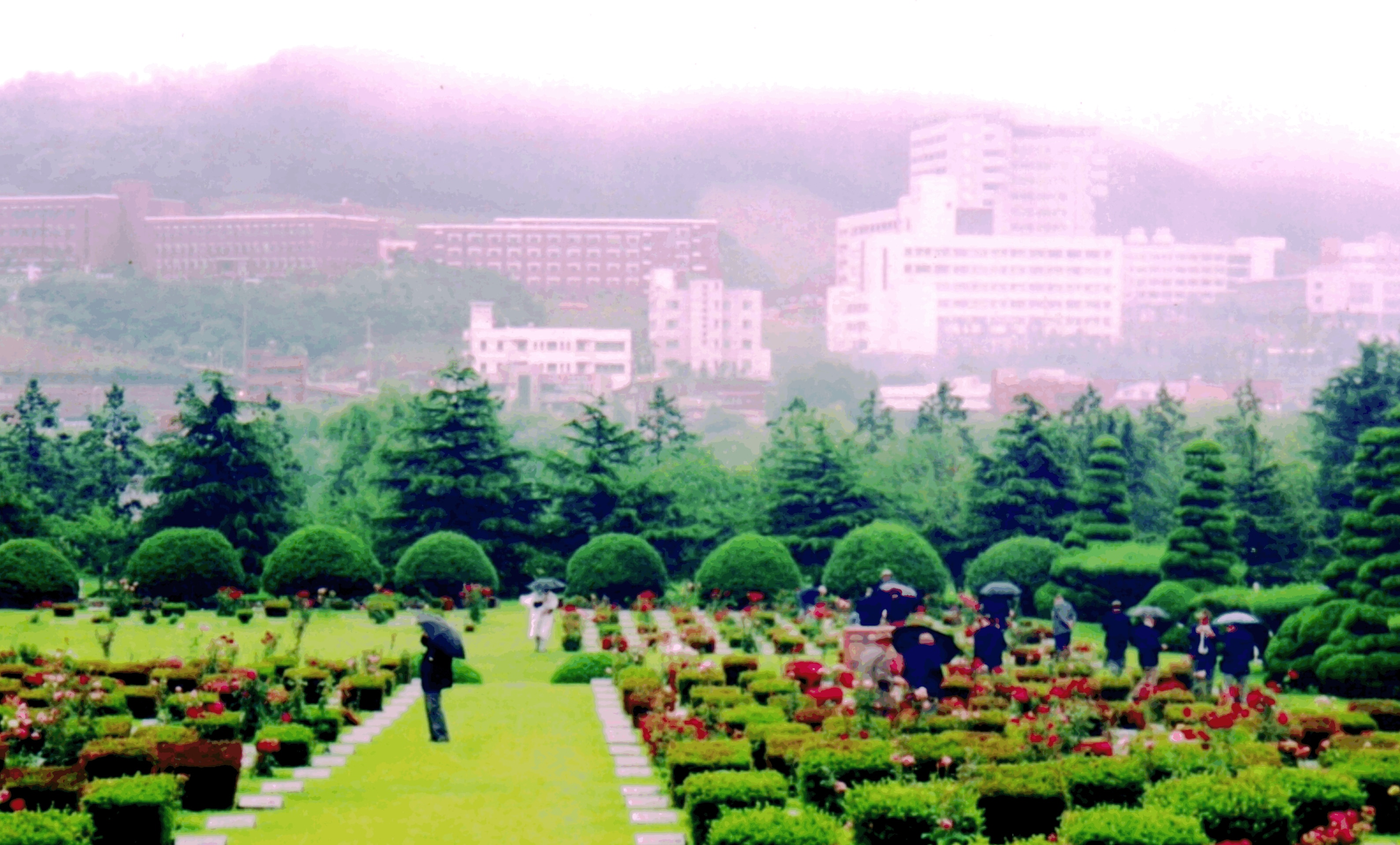 United Nations Memorial Cemetery in Busan, Korea in 2000