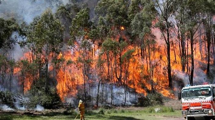 Emergency bushfire warnings were in place in Tasmania this summer.