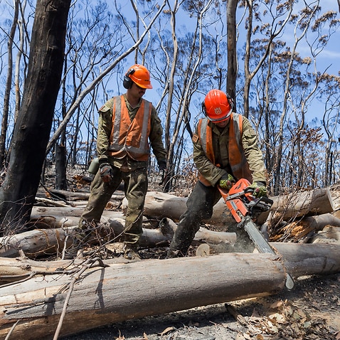 The recovery efforts in fire-affected communities has begun. 