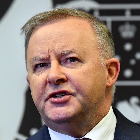 Opposition Leader Anthony Albanese has called for Federal Parliament to be recalled next week.