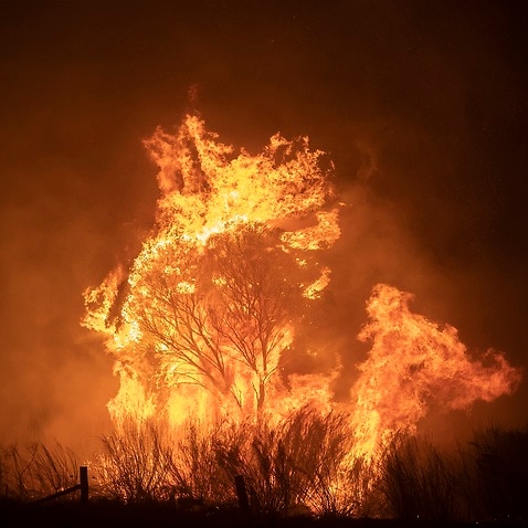 Bushfires were a challenging start to Australia's year