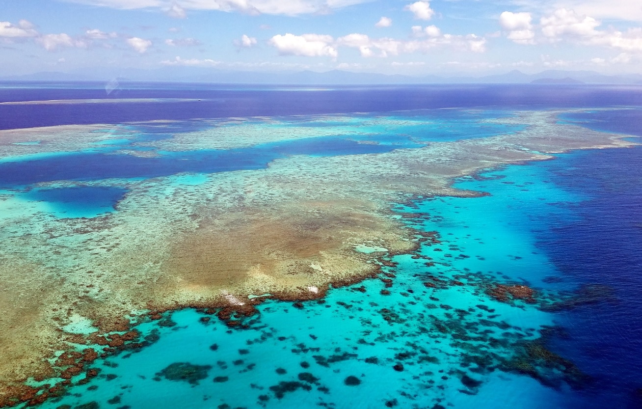 Why Australia and southeast Asia's coral reefs became so rich in ...