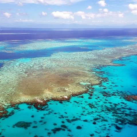 The Great Barrier Reef in the Coral Sea off the coast of Queensland.