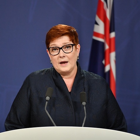 Australian Foreign Affairs Minister Marise Payne during a press conference in Sydney, 