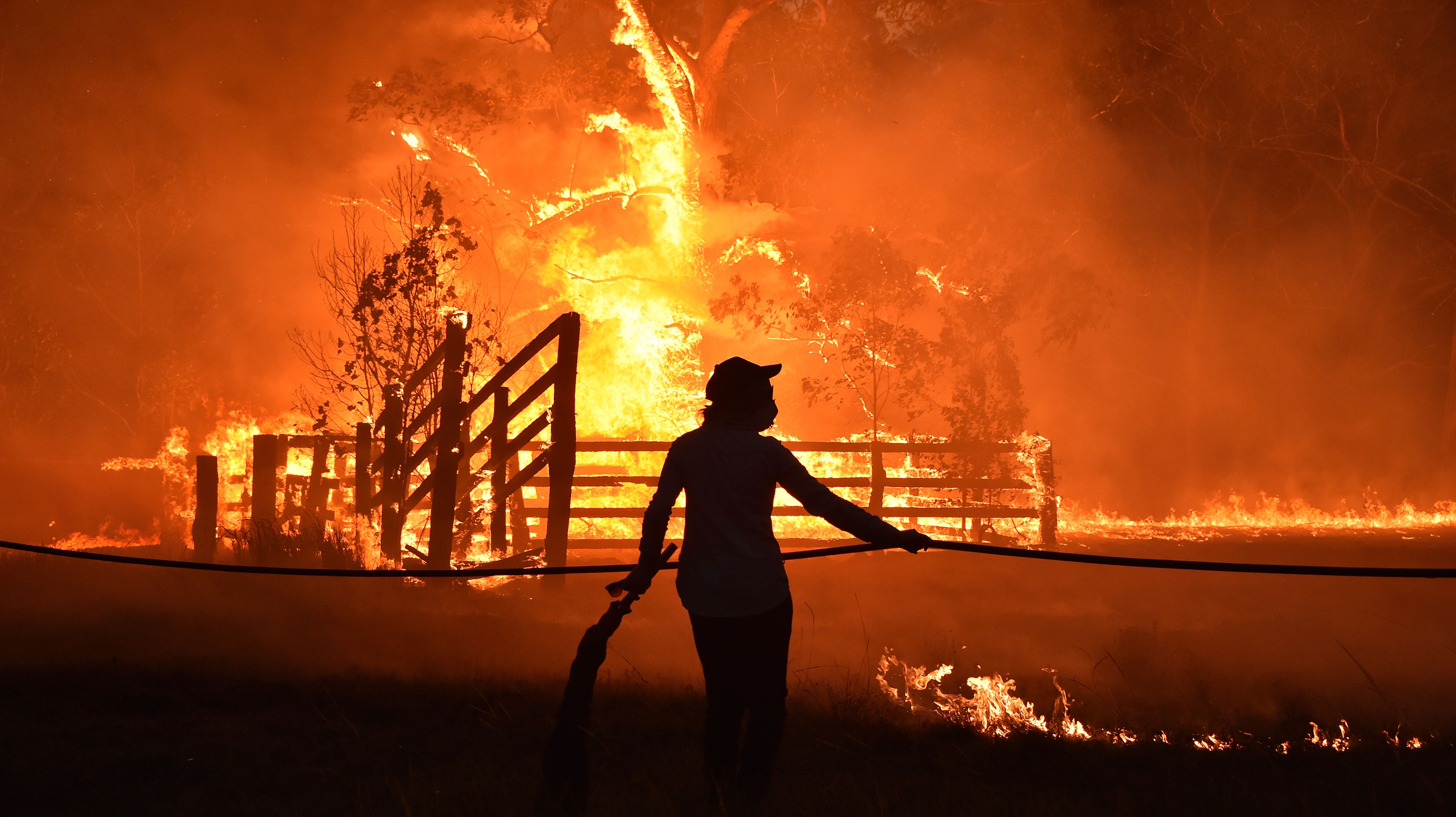 Relief as NSW survives 'catastrophic' bushfire conditions