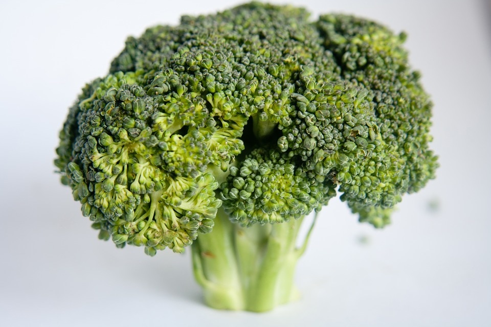 Vegetables Food Green Broccoli Diet Healthy