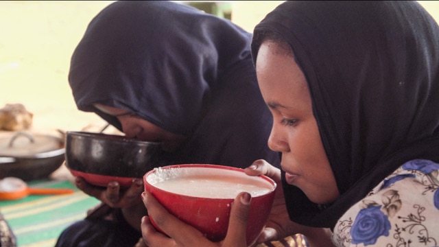 11-year-old Mone drinks milk as part of gavage. forced to be fat. 11 year old mone does gavage.
