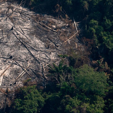 A destroyed area in the Menkragnoti Indigenous reserve in the Amazon rainforest.