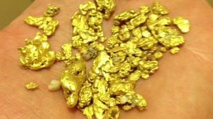 Image of pieces of gold discovered by Orn and her husband.