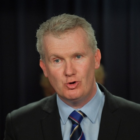 File: Federal Water Minister Tony Burke 
