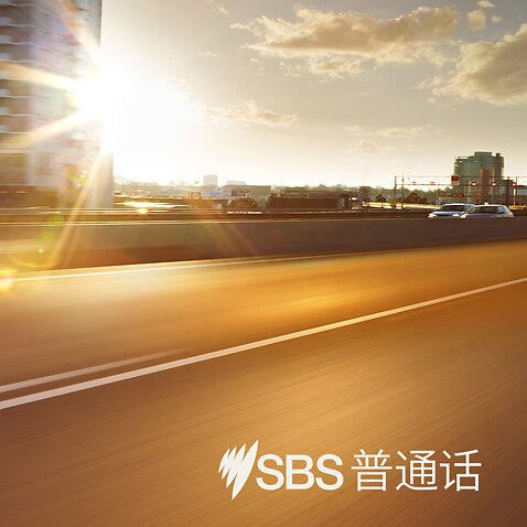 SBS Mandarin morning news