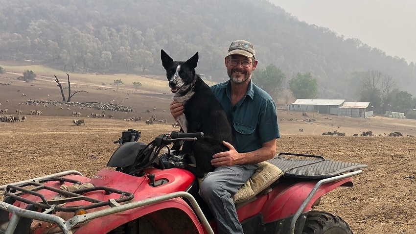 Image for read more article 'How Patsy the Wonder Dog saved her flock of sheep as bushfires raged'
