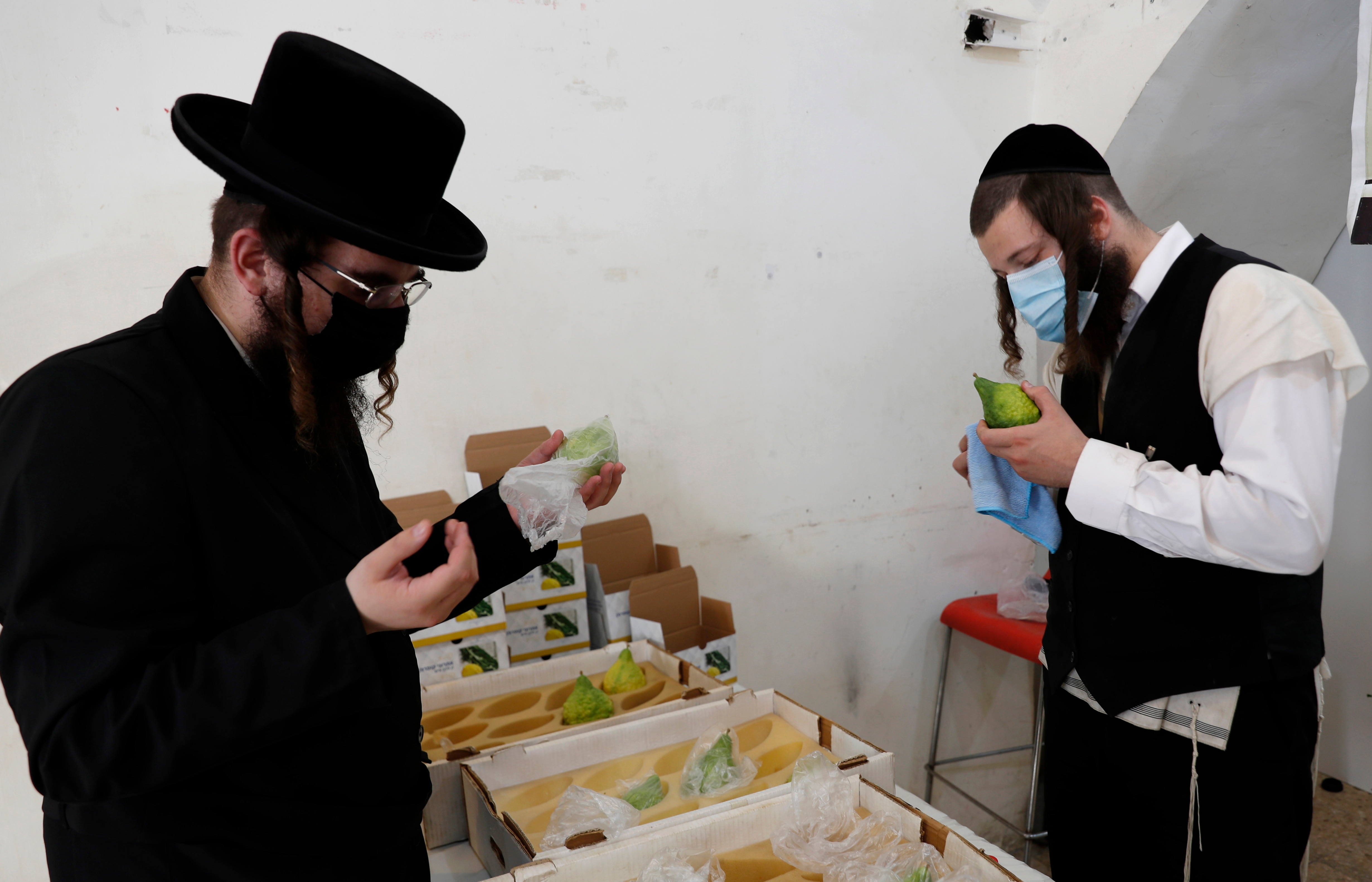 Ultra-Orthodox Jewish men inspect yellow citron, used during the celebration of Sukkot.