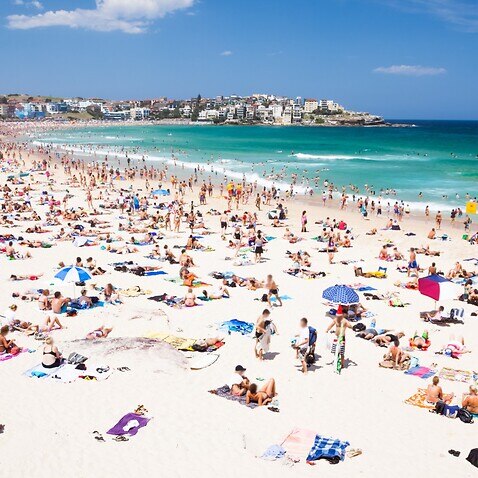 A crowded Bondi Beach, in NSW, on a Summer day.