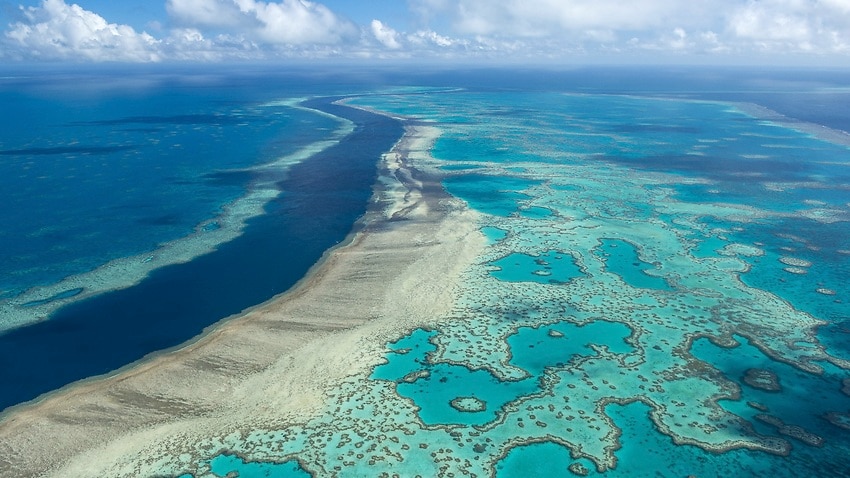 An undated photo of the Great Barrier Reef near the Whitsunday, Australia.