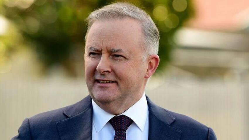 Anthony Albanese Is The New Australian Labor Party Leader | SBS News