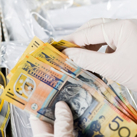 AUSTRAC and money laundering