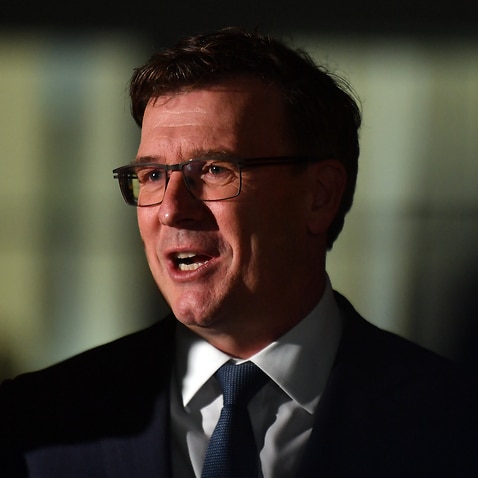 Acting Minister for Immigration Alan Tudge.