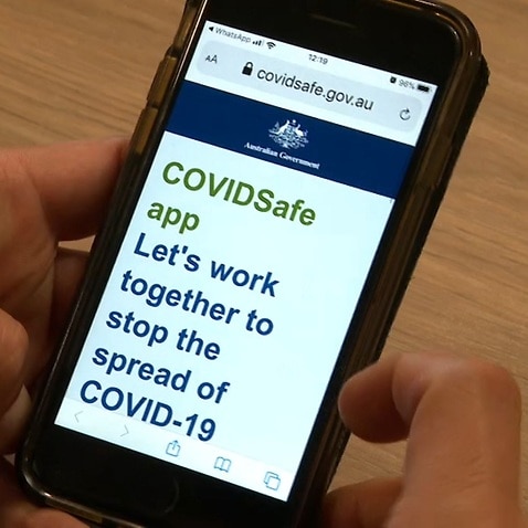 A close up of the government's coronavirus tracing app. 