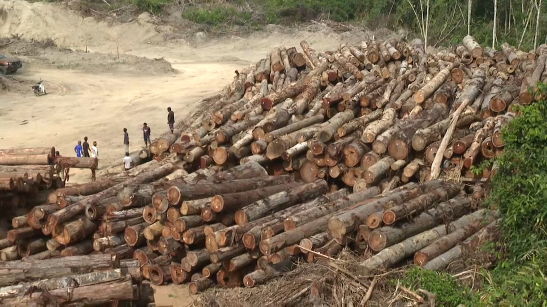 自封锁以来，一些有限的伐木工作仍在继续。 