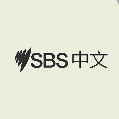 SBS中文 logo