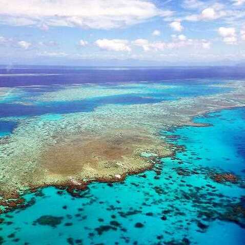 Is the great barrier reef recovering