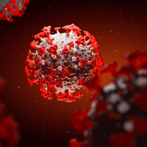 Concept of SARS-CoV-2 or 2019-ncov coronavirus