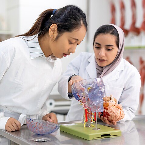 university lab, female medical students, Chinese ethnicity, Middle Eastern ethnicity 