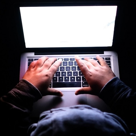 Experten sagen, NSW sollte sich an die Papierabstimmung halten.