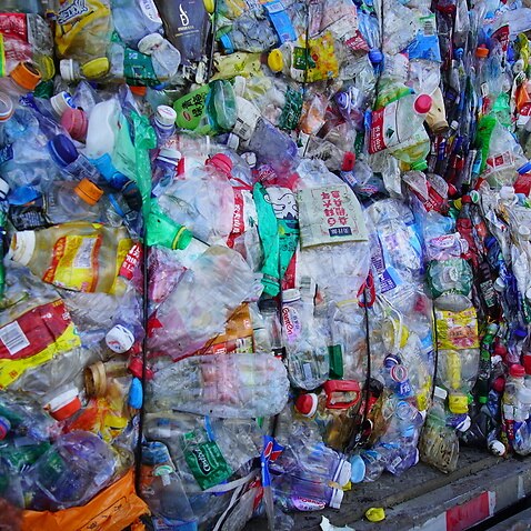 Plastic bottles are processed in China