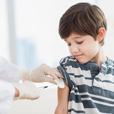 Flu Vaccine research, improved vaccines