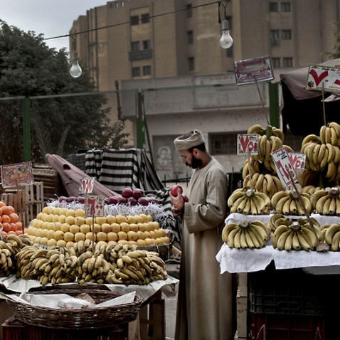 a fruit vendor checks an apple as he waits for customers