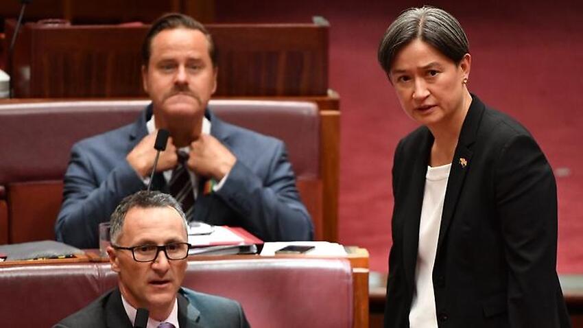 Sbs Language Breaking Same Sex Marriage Bill Passes The Senate