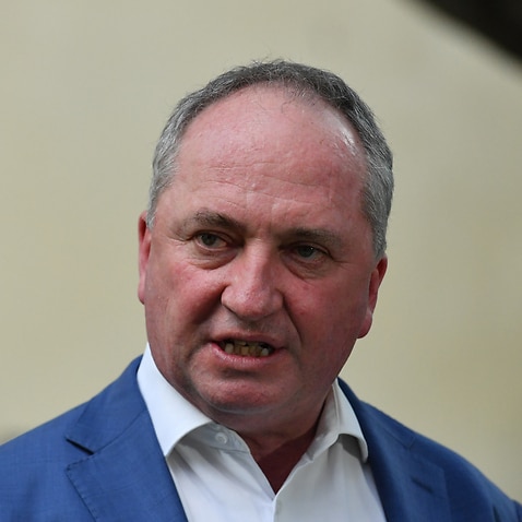 Deputy Prime Minister Barnaby Joyce at a press conference at Parliament House in Canberra.