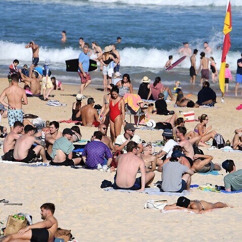 Sydneyliler Bondi Plajı'nda güneşli bir günün tadını çıkarıyor