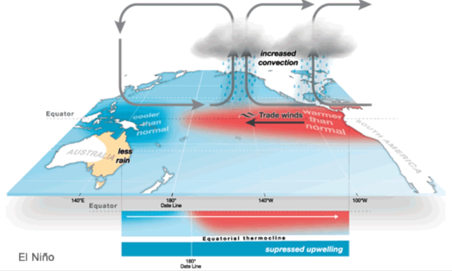 During an El Niño event, trade winds weaken, allowing the area of warmer than normal water to move into the central and eastern tropical Pacific Ocean.