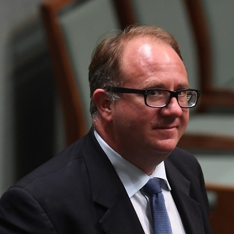 Labor MP David Feeney has been referred to the High Court over the citizenship saga.