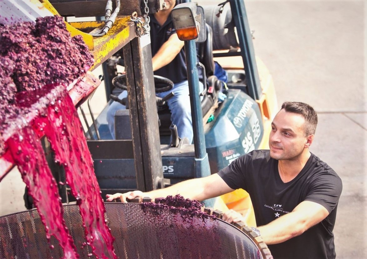 Andrew Calabria supervising the wine crush.