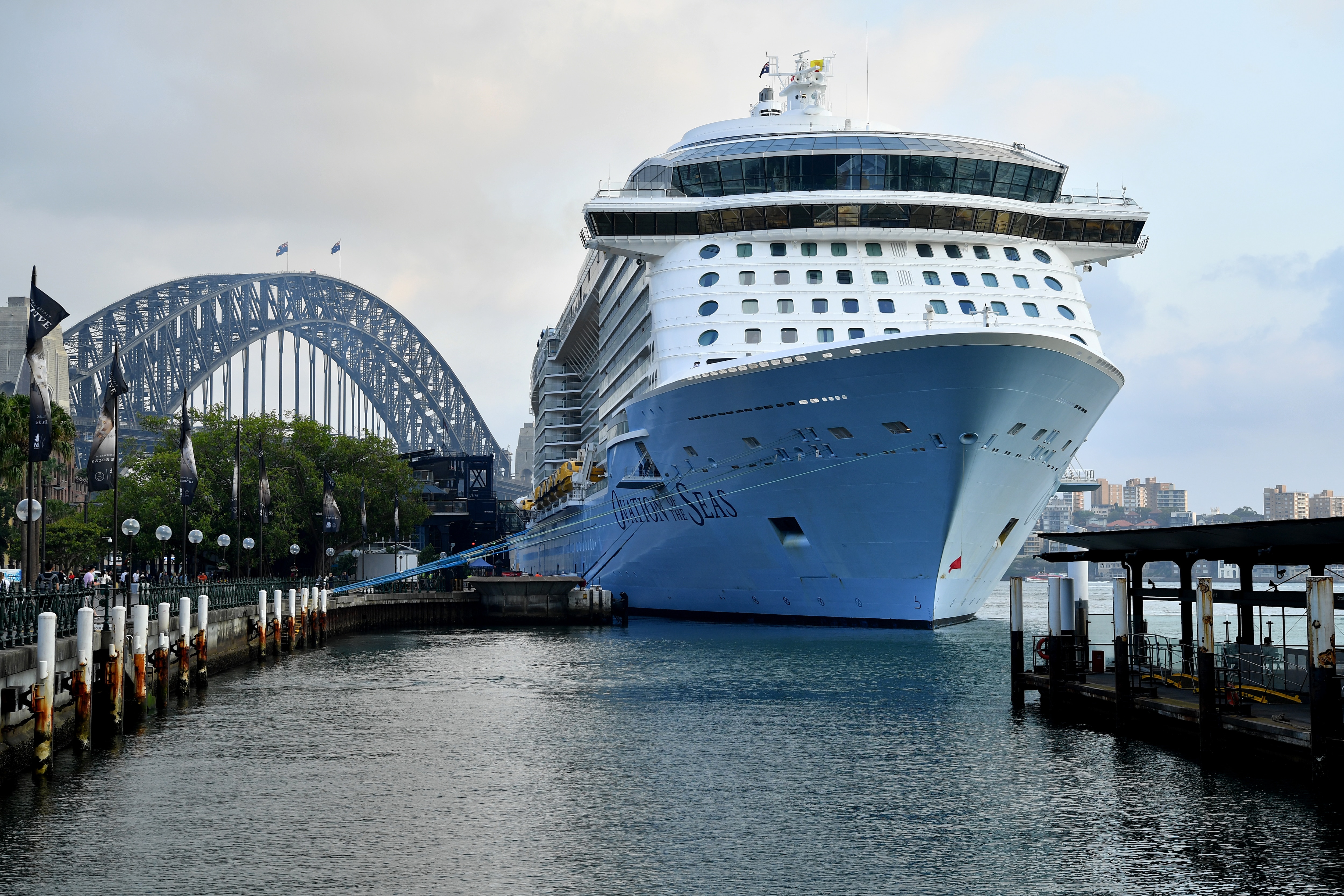 Ovation of the Seas returns to Sydney after NZ volcano disaster | SBS News