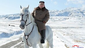 Image result for riding horse