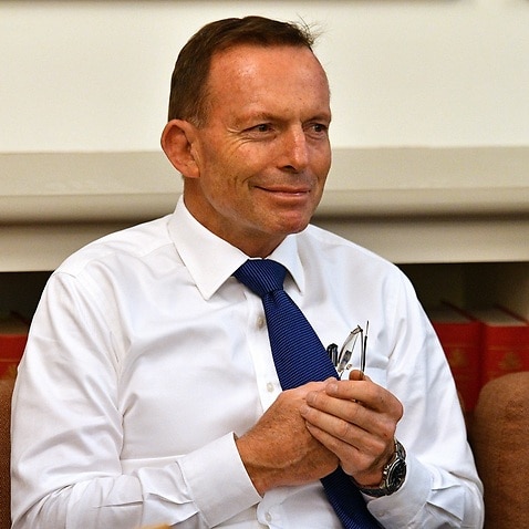 Tony Abbott says he is 