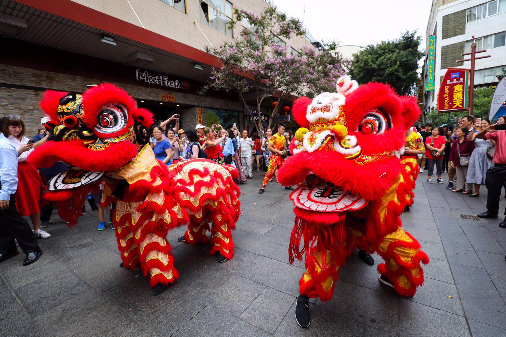 Sydney Lord Mayor Clover Moore has celebrated the Lunar New Year with lion dancers and handed out traditional lucky red packets in Chinatown.