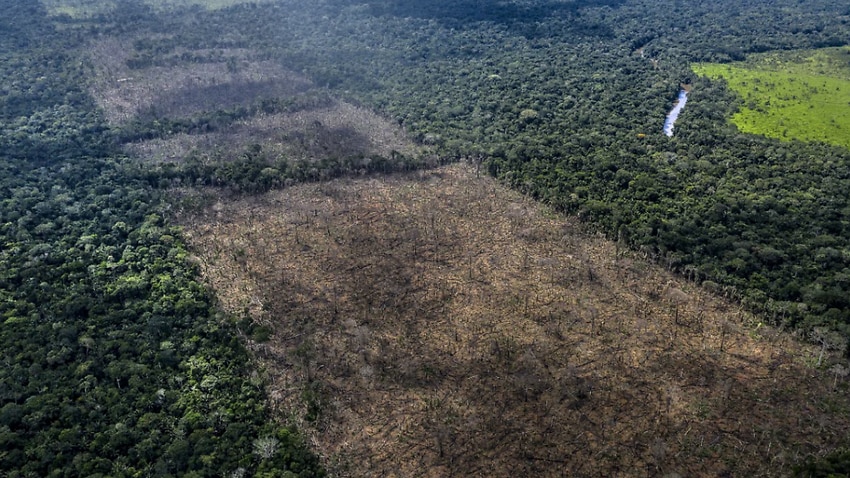 Brazilian Expert On Isolated Amazon Tribes Killed By Arrow From Uncontacted Indigenous Group