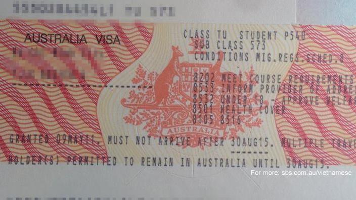 sbs-language-over-a-thousand-indian-students-stripped-of-their-visas