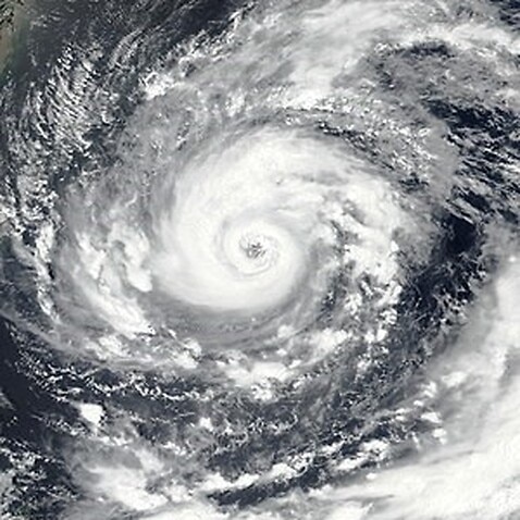 Typhoon 