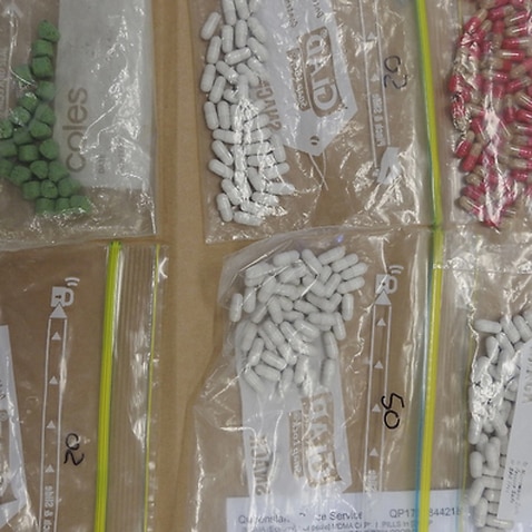 Part of $1 million in illicit drugs seized by Queensland police